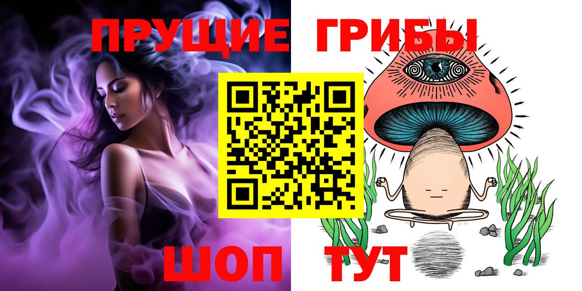 Канаш  Псилоцибиновые грибы прущие грибы  Вход с VPN 